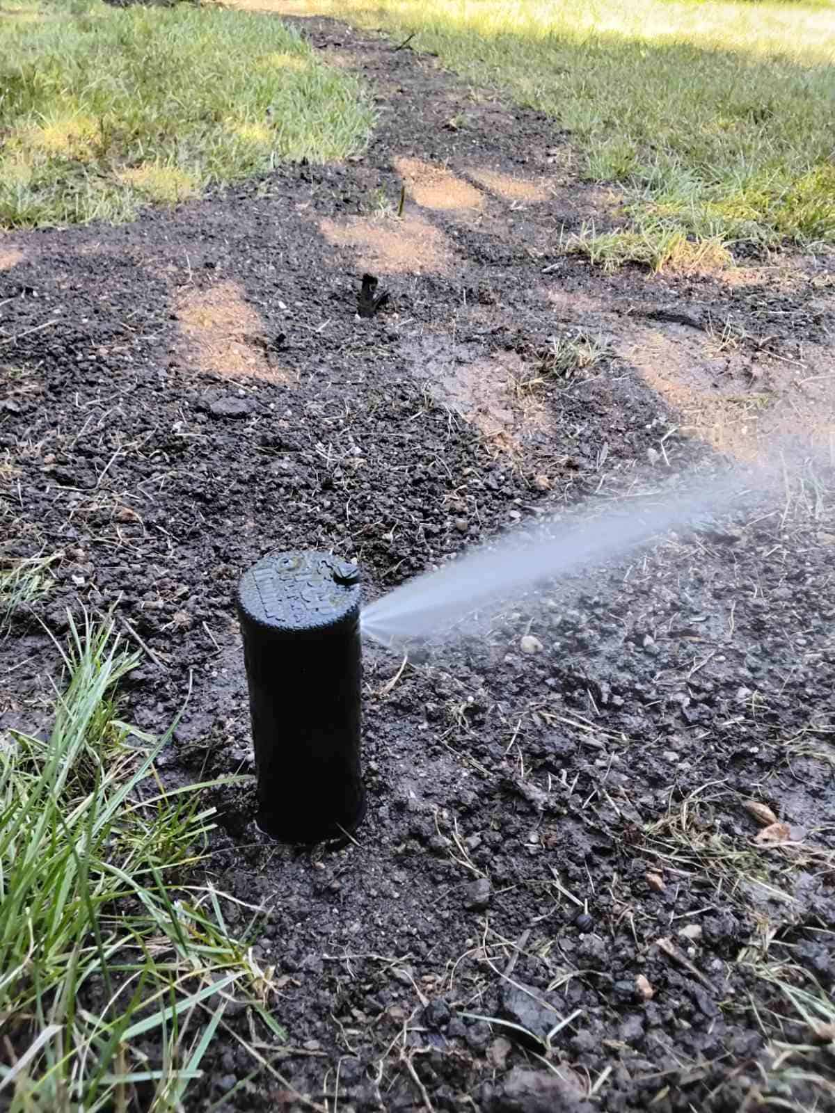 Postřikovač zavlažuje záhon